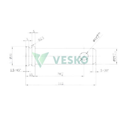 Kaištis su Galvute Kat.2 25x78 mm 1 Kaištis su Galvute Kat.2 25x78 mm 1