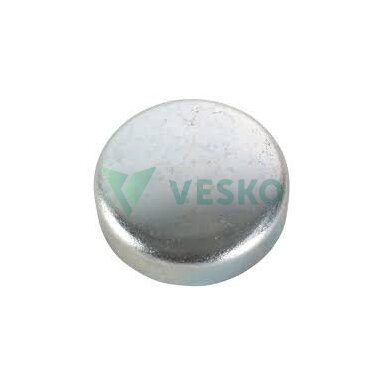 Plieninis Kamštis 640016045 Kubota