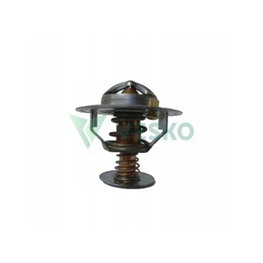 Termostatas D2CA002TT